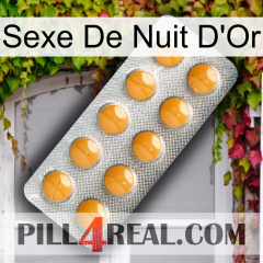 Golden Night Sex levitra1